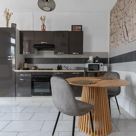 Residence Nature - Appartements Design En Centre Ville Cusset Buitenkant foto